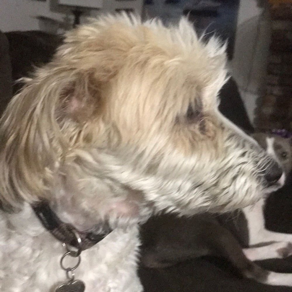 Meet your Posher, Jeff